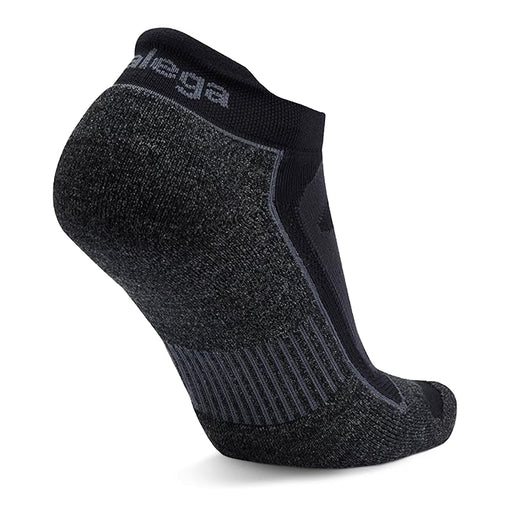 Balega Blister Resist Unisex No Show Running Socks