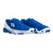 Blue/White - 5